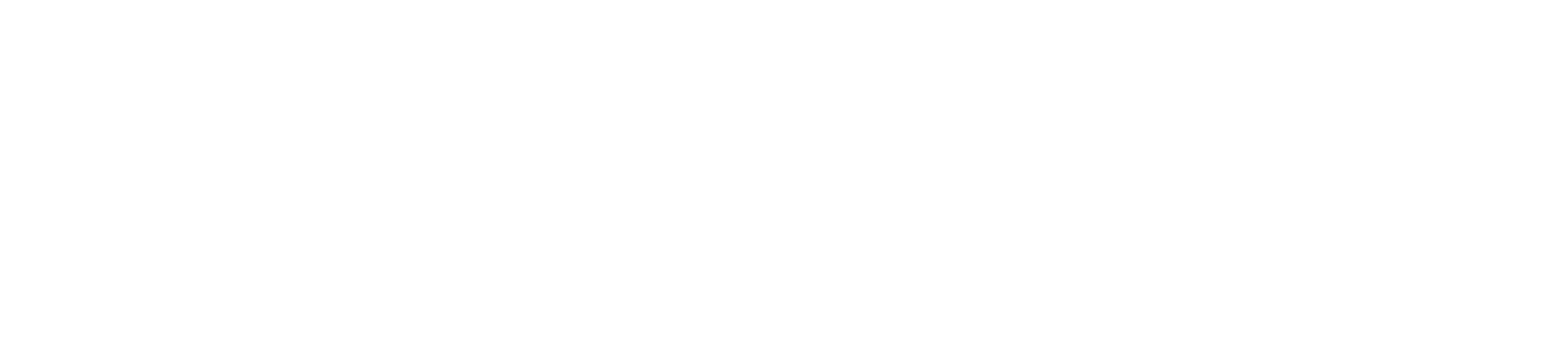 Cashlee- logo blanc